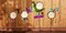 Accent Plus Home Decorative Metal Thermometer Garden Stake - Butterfly